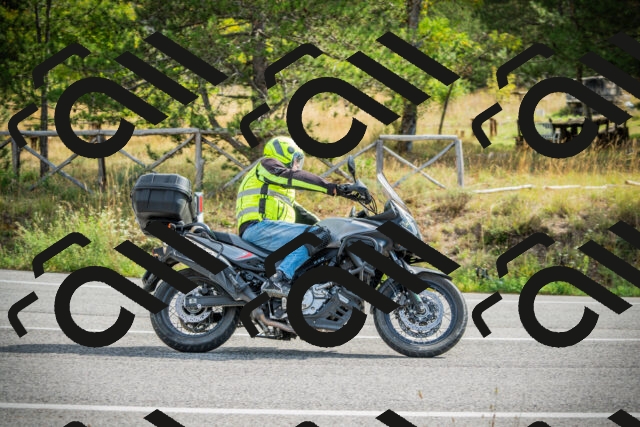 202509141100-DSC04721_c1_