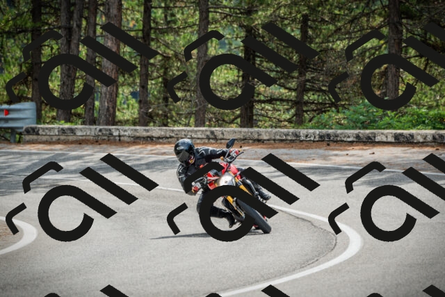 202509141100-DSC04726_c1_