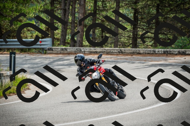 202509141100-DSC04727_c1_