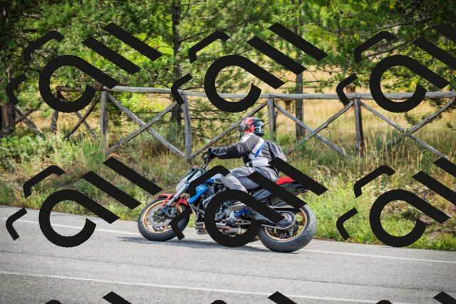 202509141101-DSC04734_c1_