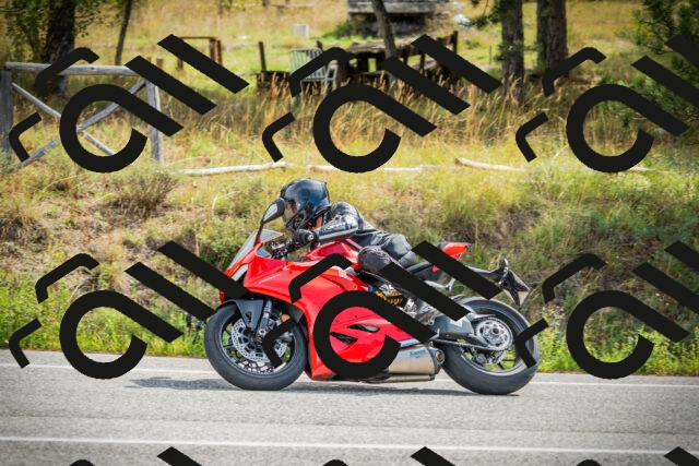 202509141101-DSC04738_c1_