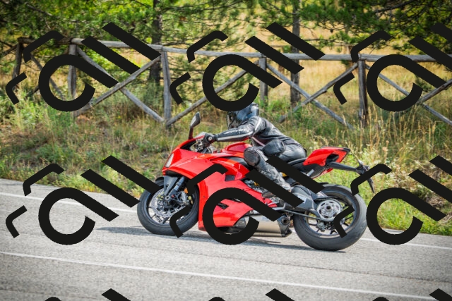 202509141101-DSC04739_c1_