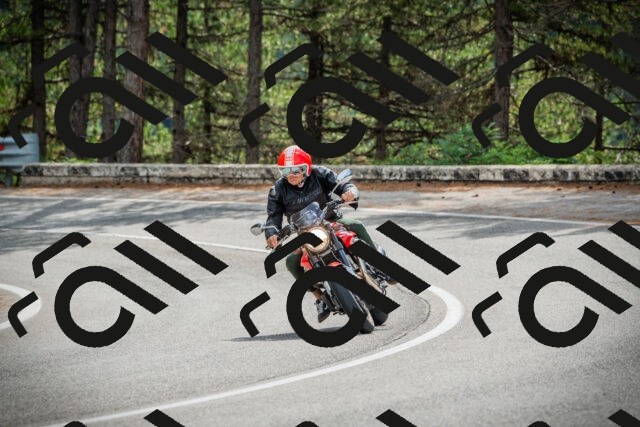 202509141101-DSC04741_c1_