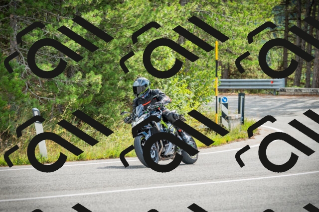 202509141101-DSC04753_c1_