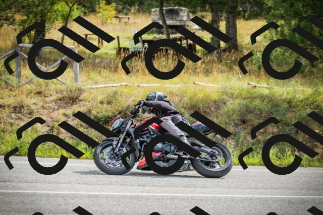 202509141105-DSC04787_c1_