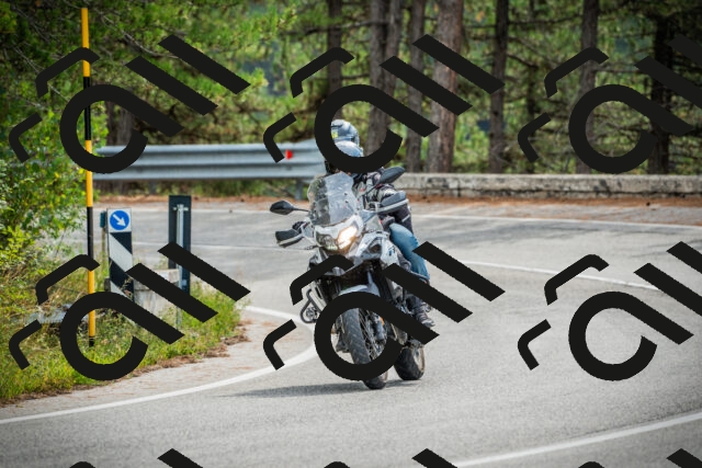 202509141107-DSC04798_c1_