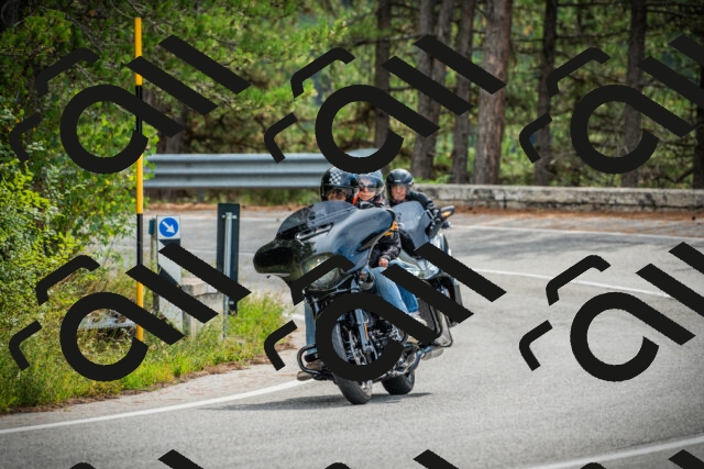 202509141107-DSC04803_c1_