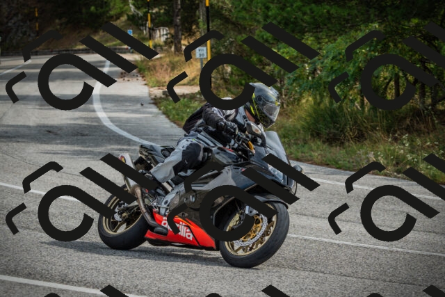 202509141107-DSC04812_c1_