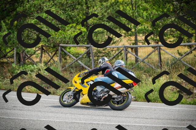 202509141108-DSC04817_c1_