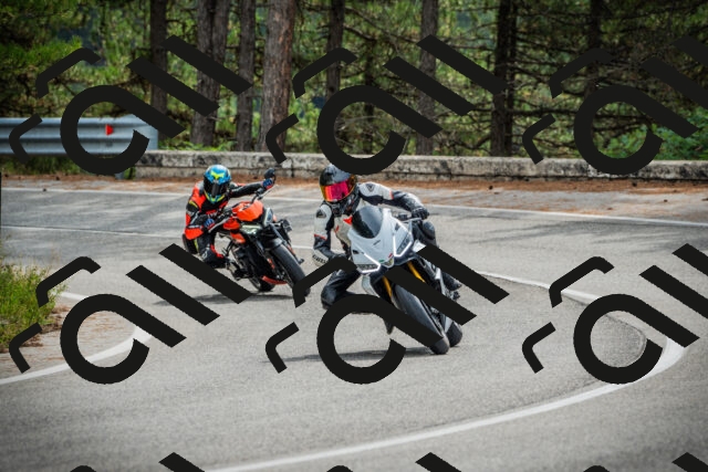 202509141108-DSC04819_c1_