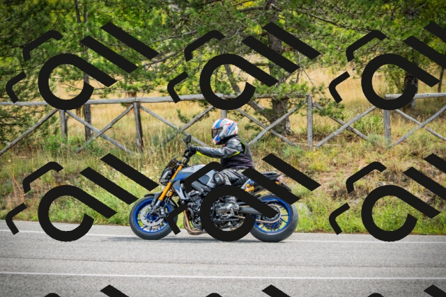 202509141108-DSC04825_c1_