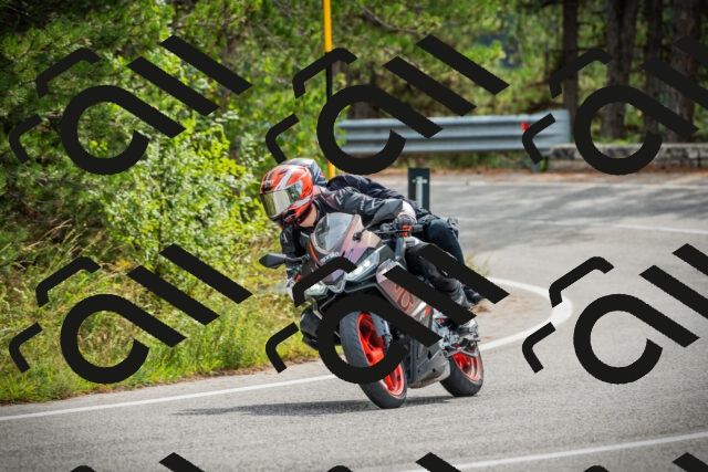 202509141110-DSC04831_c1_