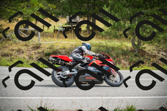 202509141111-DSC04838_c1_