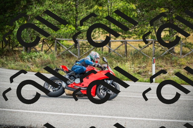 202509141111-DSC04839_c1_