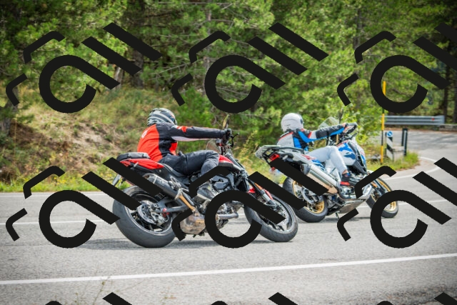 202509141111-DSC04841_c1_