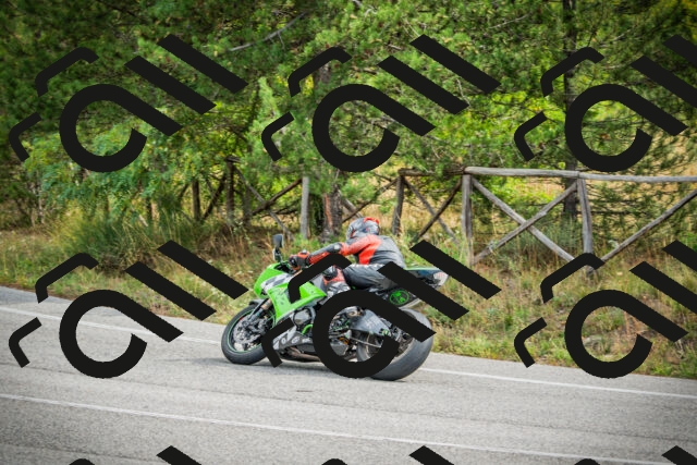 202509141114-DSC04857_c1_