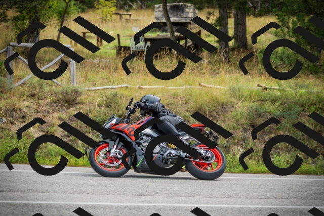 202509141115-DSC04863_c1_