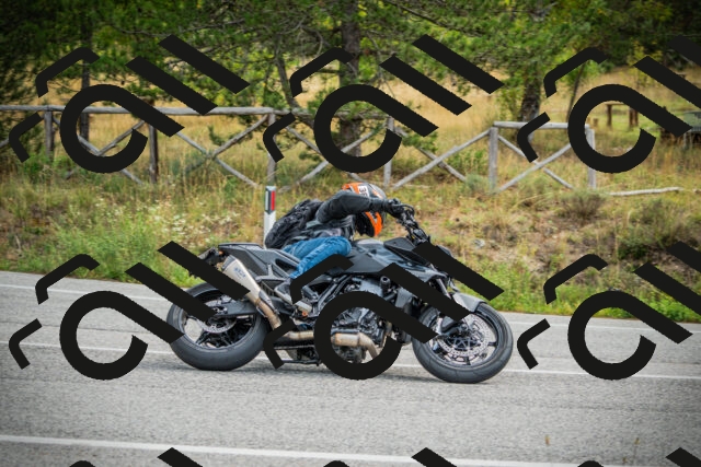 202509141115-DSC04866_c1_