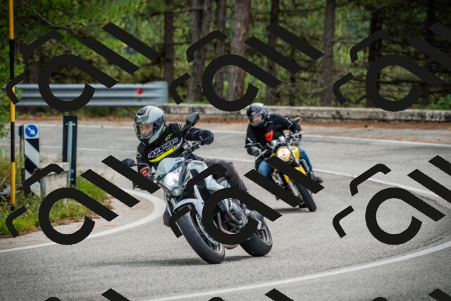 202509141117-DSC04885_c1_