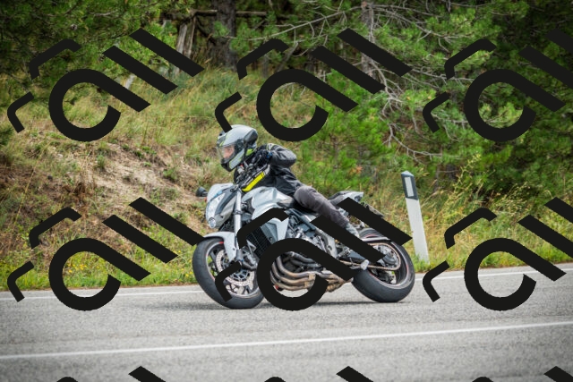 202509141117-DSC04886_c1_