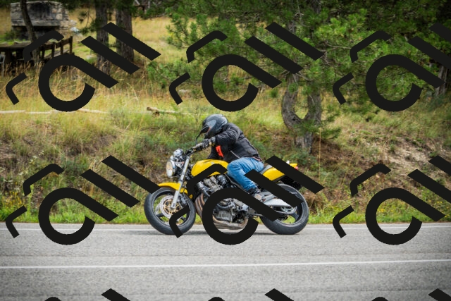 202509141117-DSC04887_c1_