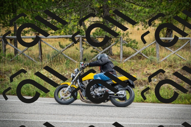 202509141117-DSC04888_c1_