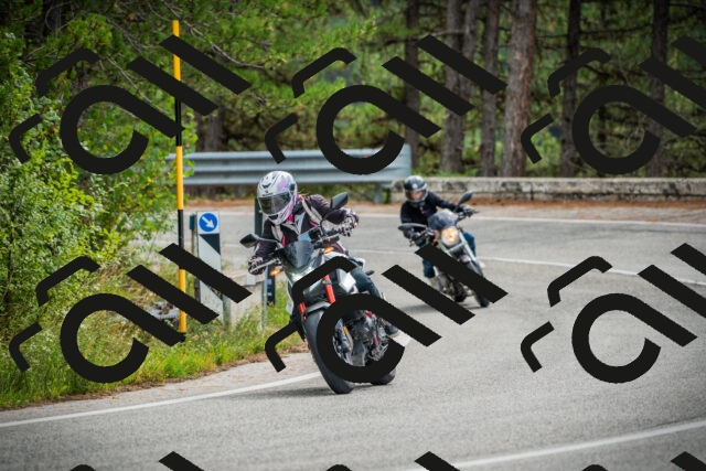 202509141118-DSC04890_c1_