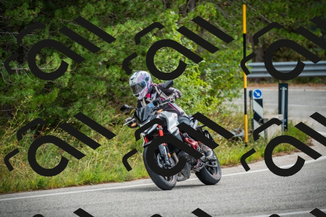 202509141118-DSC04891_c1_