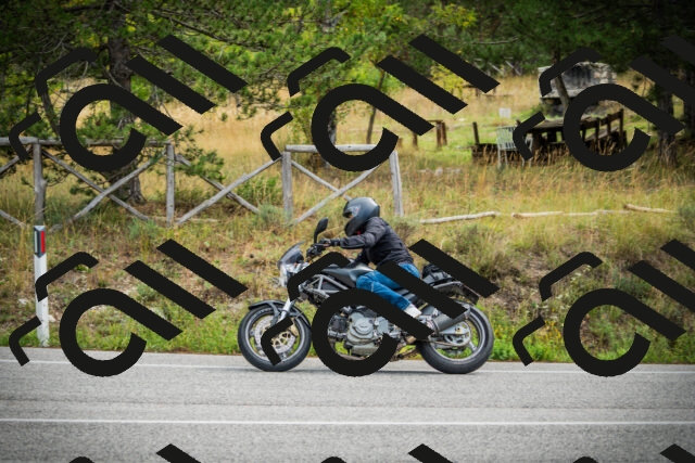 202509141118-DSC04894_c1_