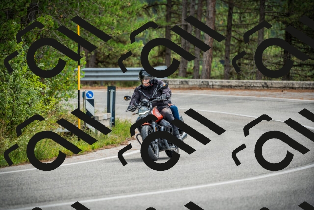 202509141118-DSC04896_c1_