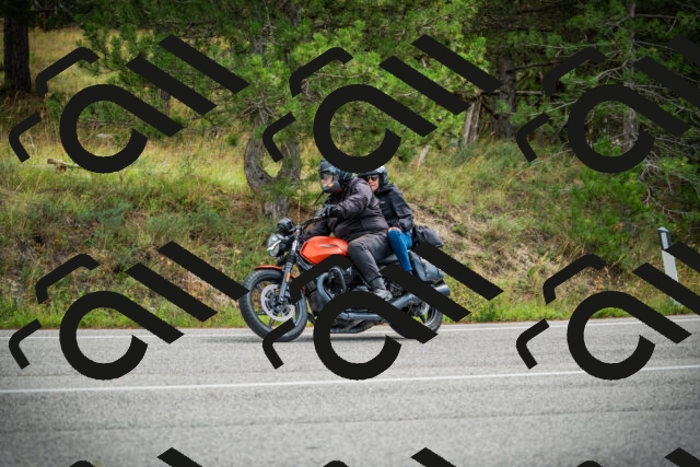 202509141118-DSC04898_c1_