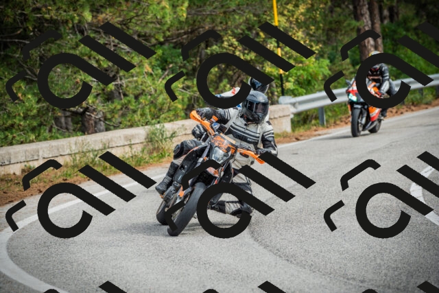 202509141119-DSC04908_c1_