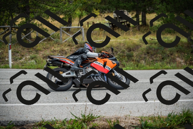 202509141119-DSC04912_c1_