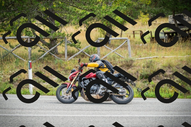 202509141120-DSC04921_c1_