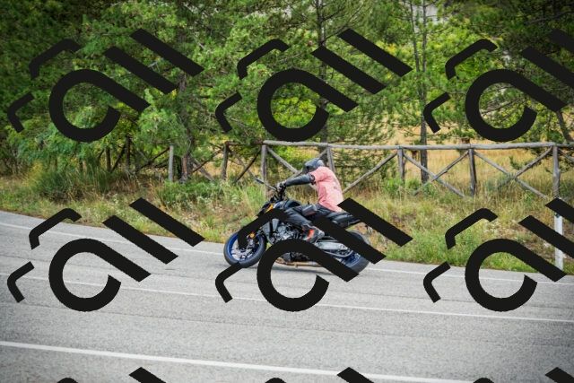 202509141120-DSC04931_c1_