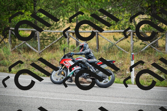 202509141120-DSC04933_c1_