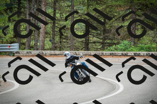 202509141120-DSC04936_c1_