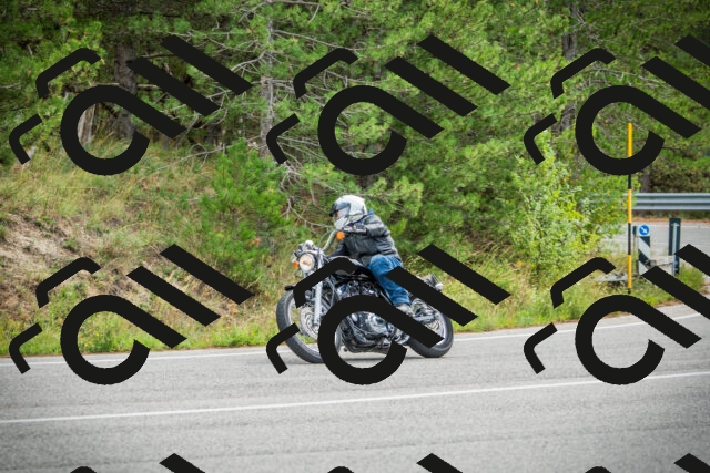 202509141120-DSC04939_c1_