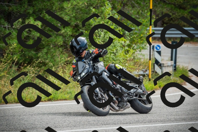 202509141120-DSC04944_c1_