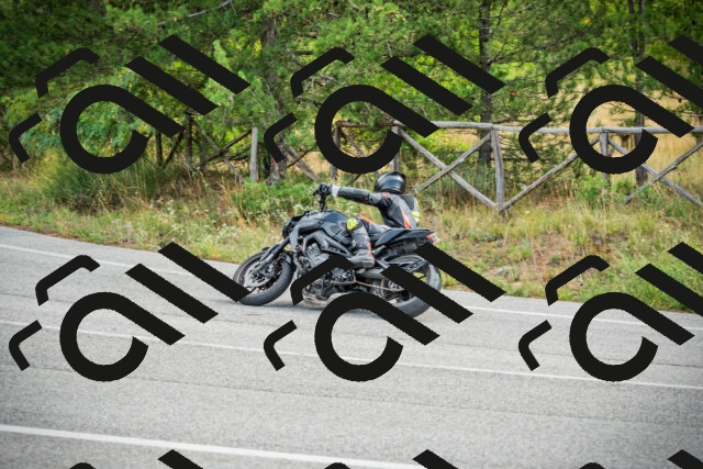 202509141120-DSC04946_c1_