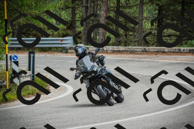 202509141122-DSC04956_c1_