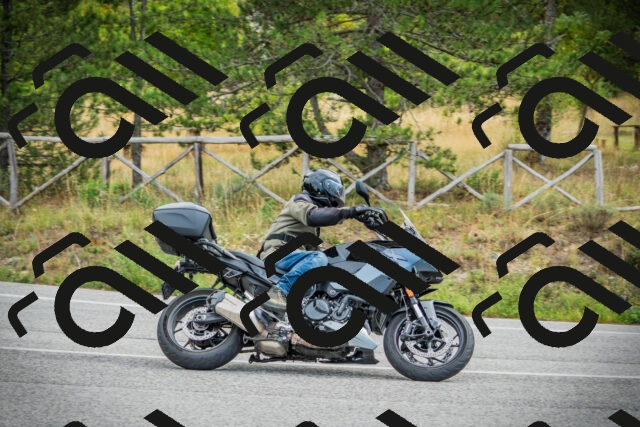 202509141130-DSC05057_c1_