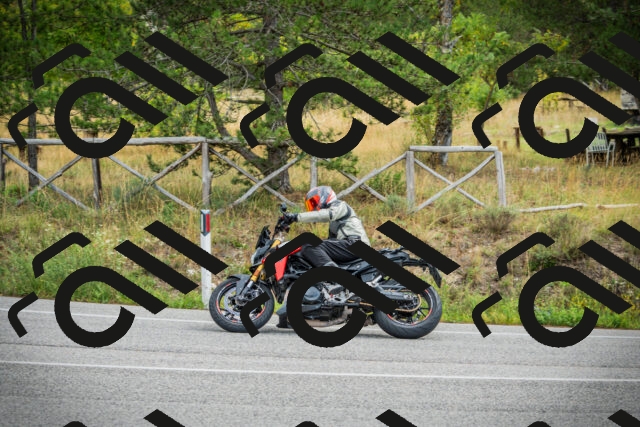 202509141130-DSC05063_c1_