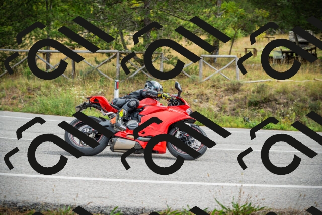 202509141135-DSC05121_c1_