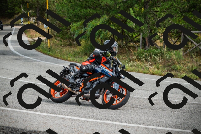 202509141135-DSC05137_c1_