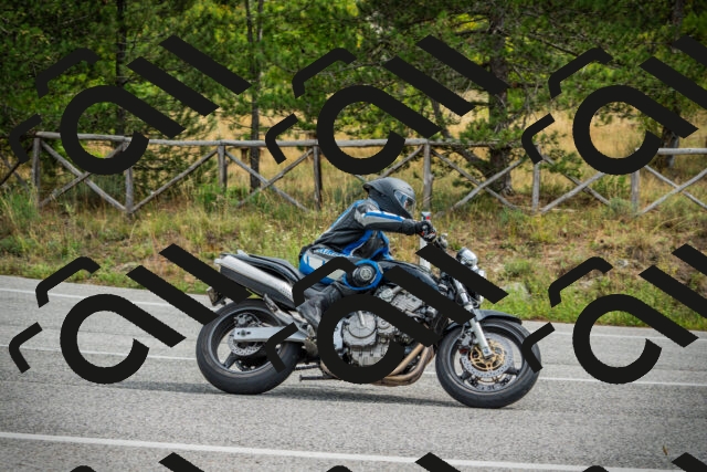 202509141135-DSC05138_c1_