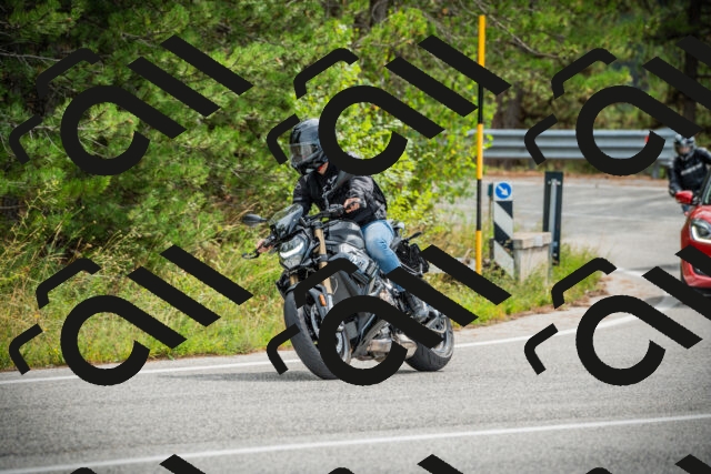 202509141136-DSC05146_c1_