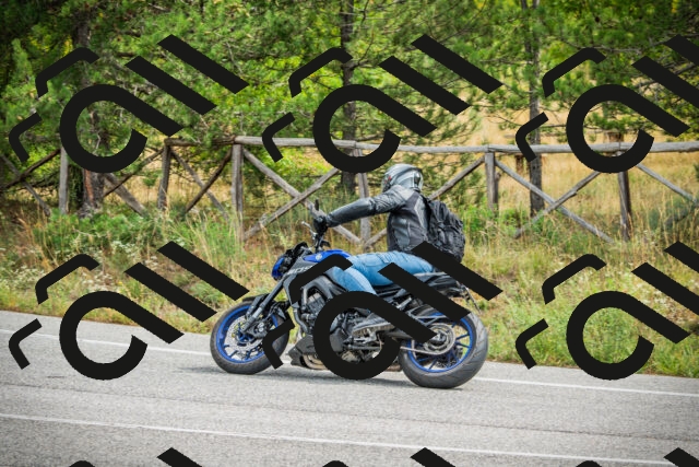 202509141136-DSC05152_c1_