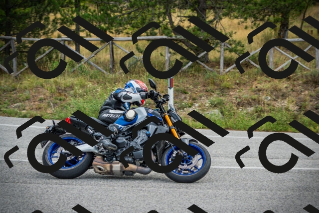 202509141138-DSC05179_c1_