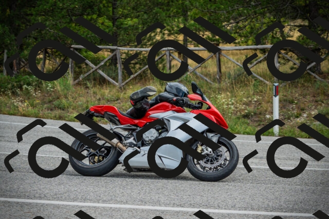 202509141139-DSC05214_c1_